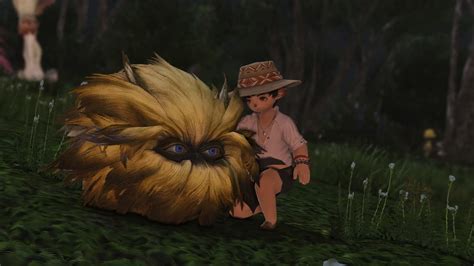 ffxiv animal skin|ffxiv animal skin guide.